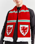 Wales Bar Scarf