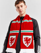 Wales Bar Scarf