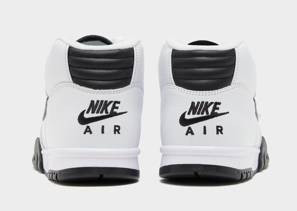 Air Trainer 1