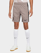 Tottenham Hotspur FC 2023/24 Third Shorts