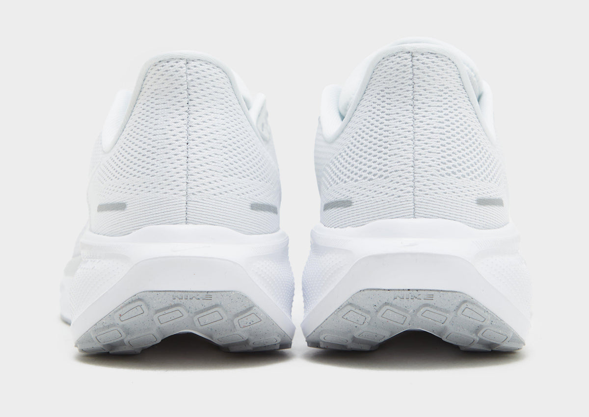 Pegasus 41