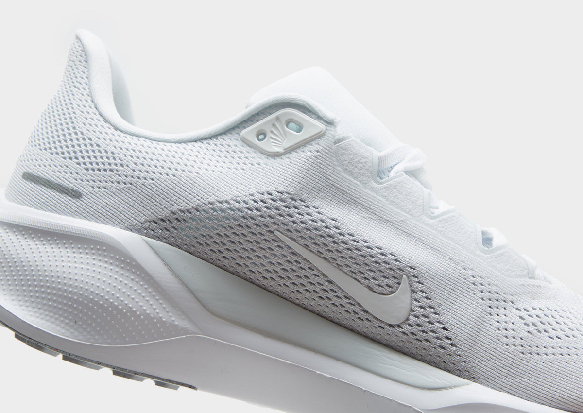 Pegasus 41