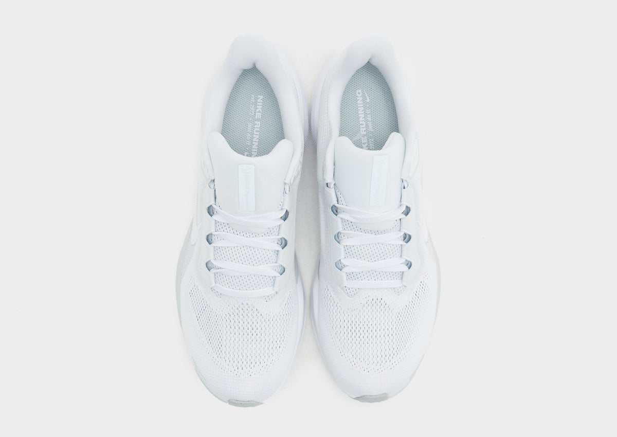Pegasus 41