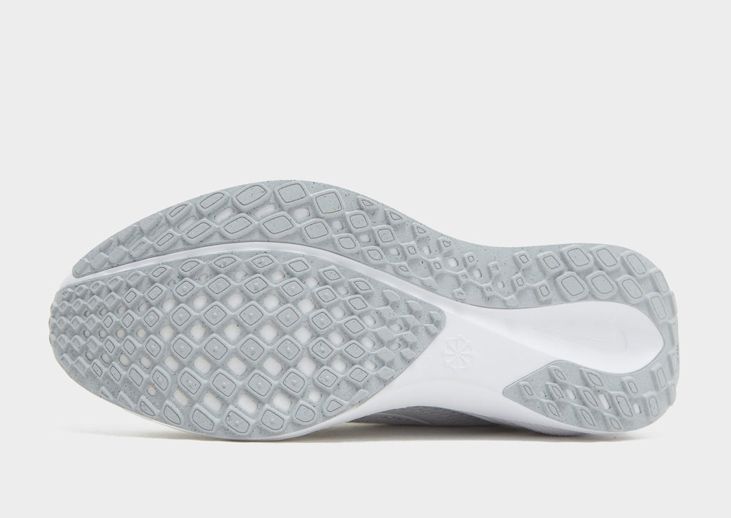 Pegasus 41