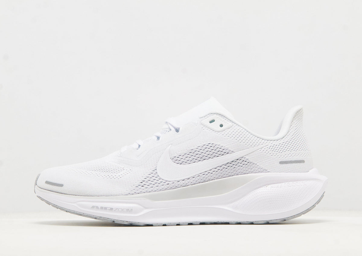 Pegasus 41