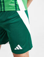 Northern Ireland 2024 Home Shorts Junior