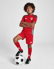 Wales 2024 Home Kit Children