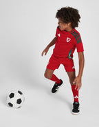 Wales 2024 Home Kit Children