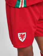 Wales 2024 Home Kit Children