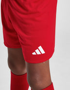 Wales 2024 Home Kit Children