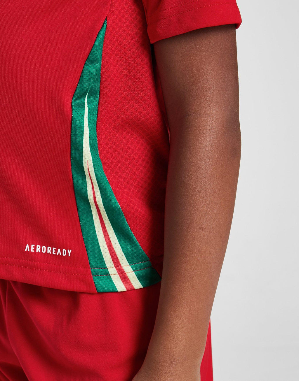 Wales 2024 Home Kit Children