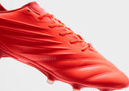 King Pro FG