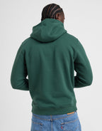 Over The Head Logo Hoodie