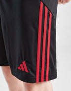 Liverpool FC 2025/26 Away Shorts Junior