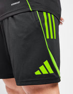 Celtic Training Shorts