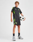 Celtic Training Shorts Junior