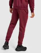 Core Sportswear Joggers