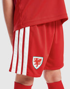 Wales 2026 Home Kit Children