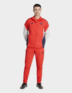 FC Bayern Munich Presentation Track Pants