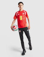 Wales Tiro 26 Training Shirt Junior