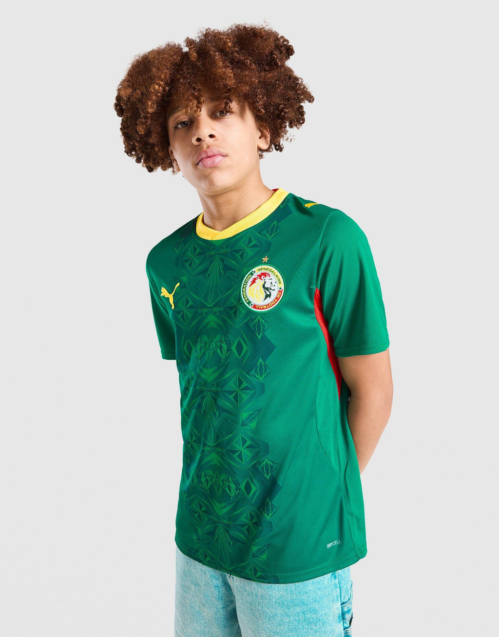 Senegal 2026 Away Shirt Junior