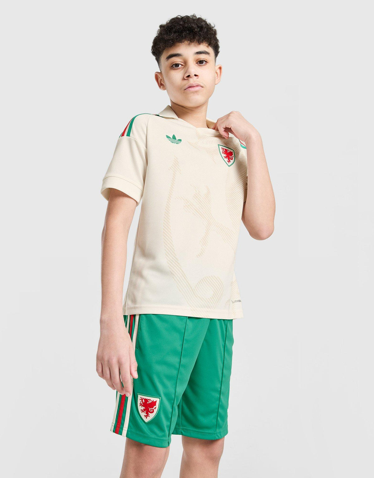 Wales 2026 Away Shorts Junior