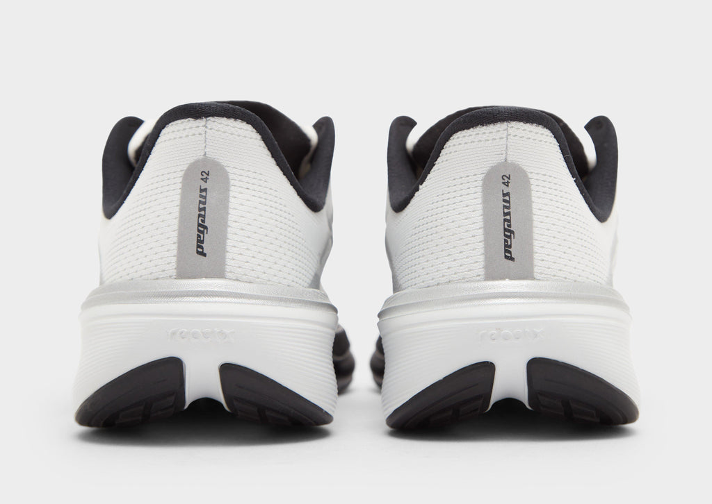 Pegasus 42 Junior
