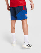 Olympique Lyon Tiro26 Training Shorts