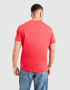 Wales Rugby Fan T-Shirt