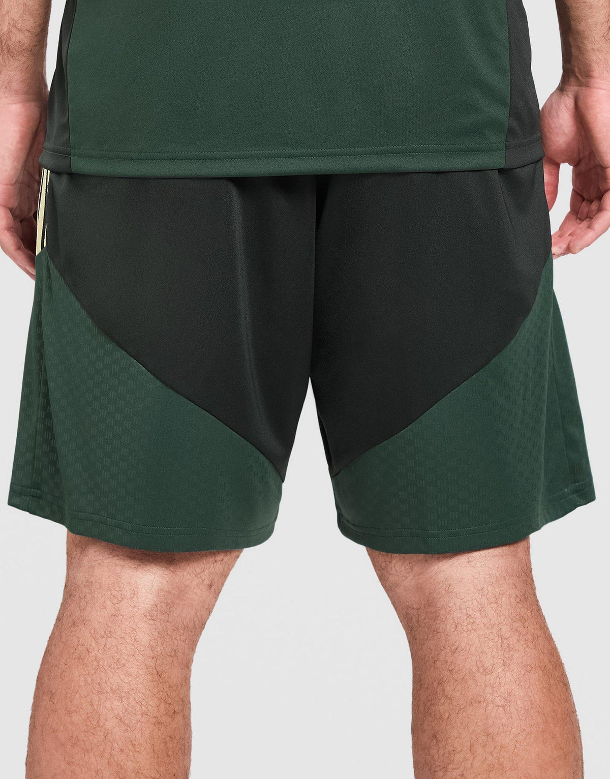 Celtic FC Tiro 26 Training Shorts