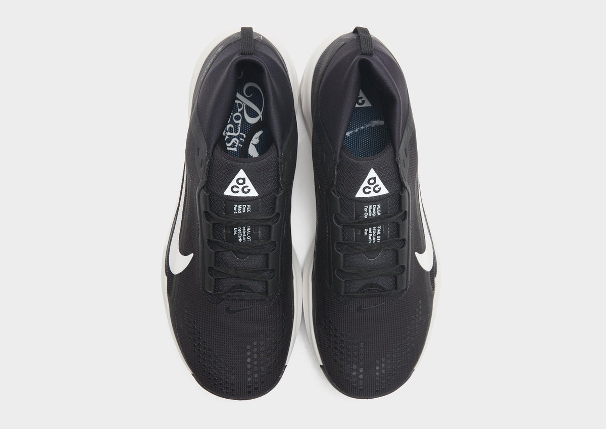 Pegasus Trail 4 GORE-TEX