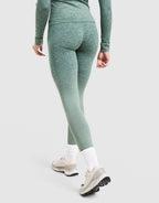 Evocurve Seamless Leggings