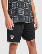 Wales 2026/27 Goalkeeper Shorts Junior