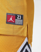 23 Jersey Junior's