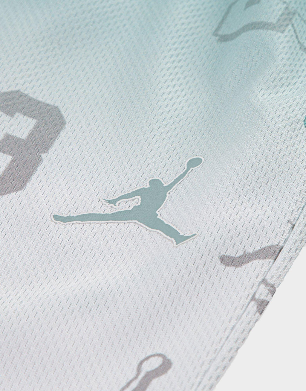 Jumpman All Over Print Shorts Junior