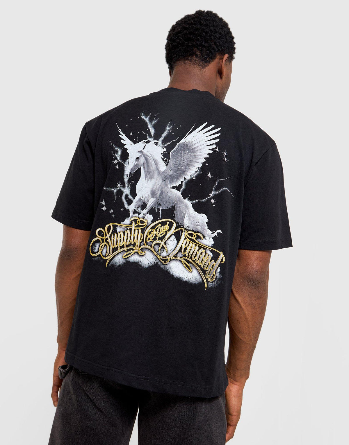 Pegasus T-Shirt