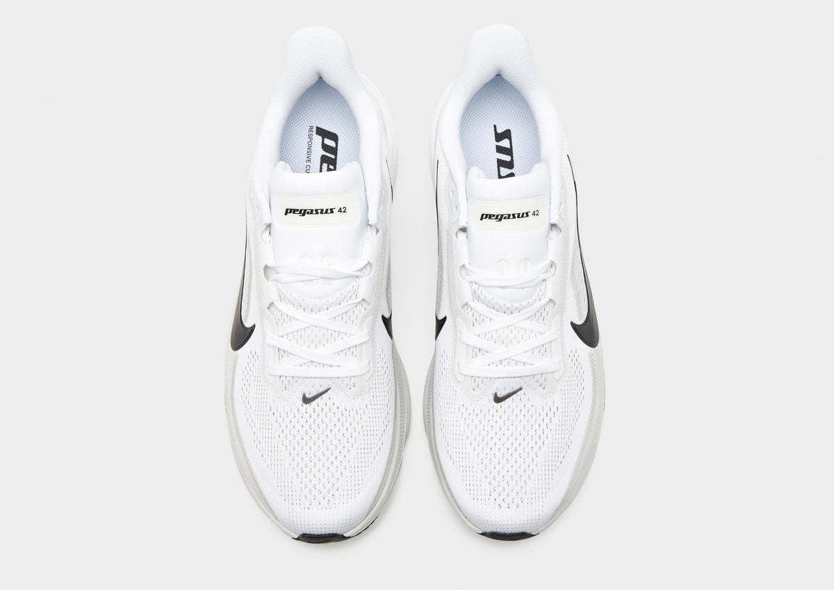 Pegasus 42