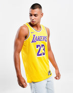 NBA LA Lakers James #23 Icon Jersey