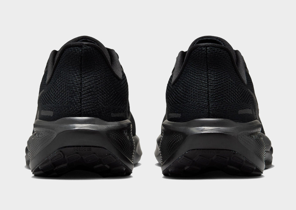 Pegasus 41