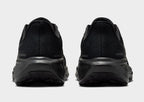 Pegasus 41