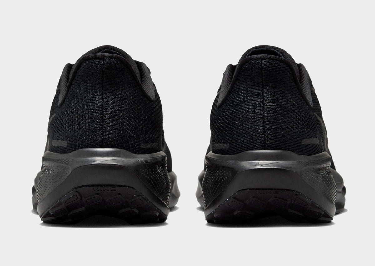 Pegasus 41