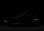 Pegasus 41