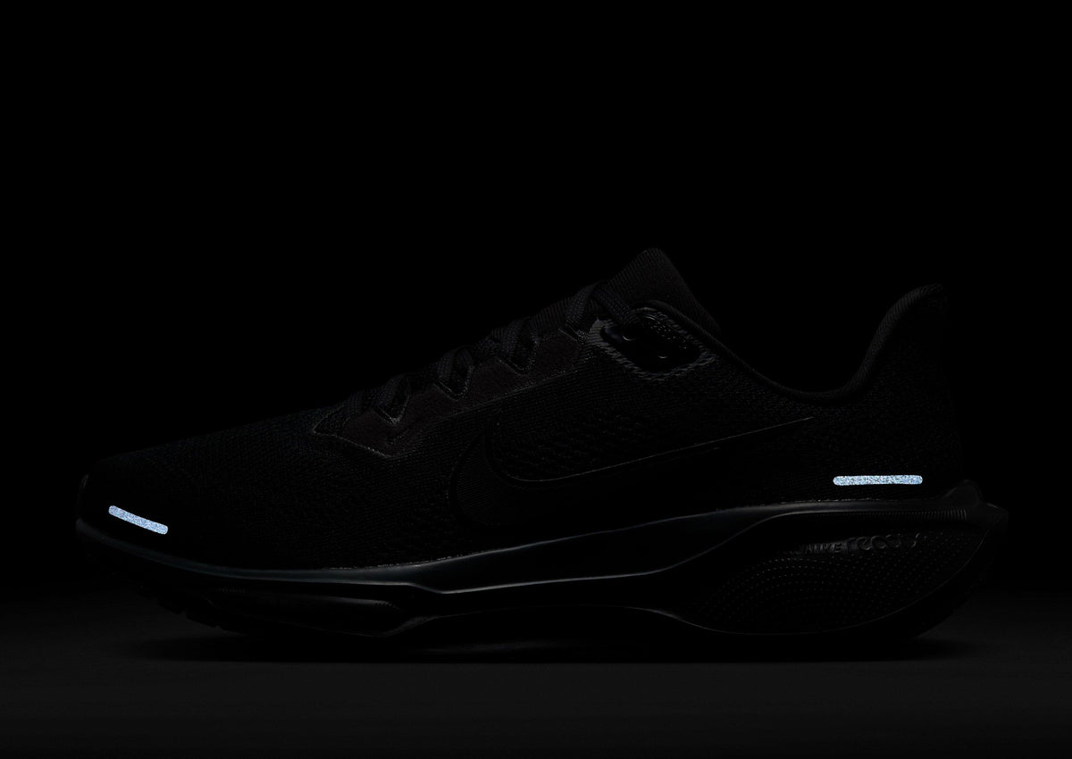 Pegasus 41