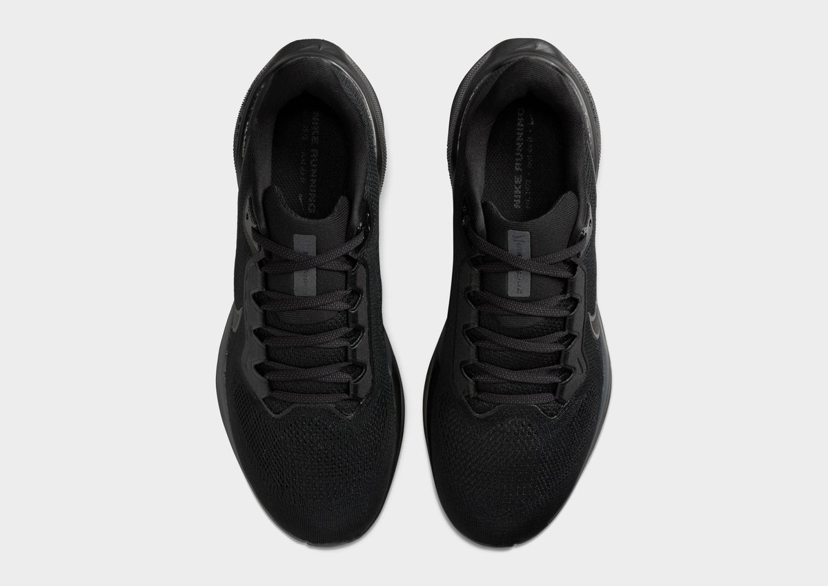 Pegasus 41
