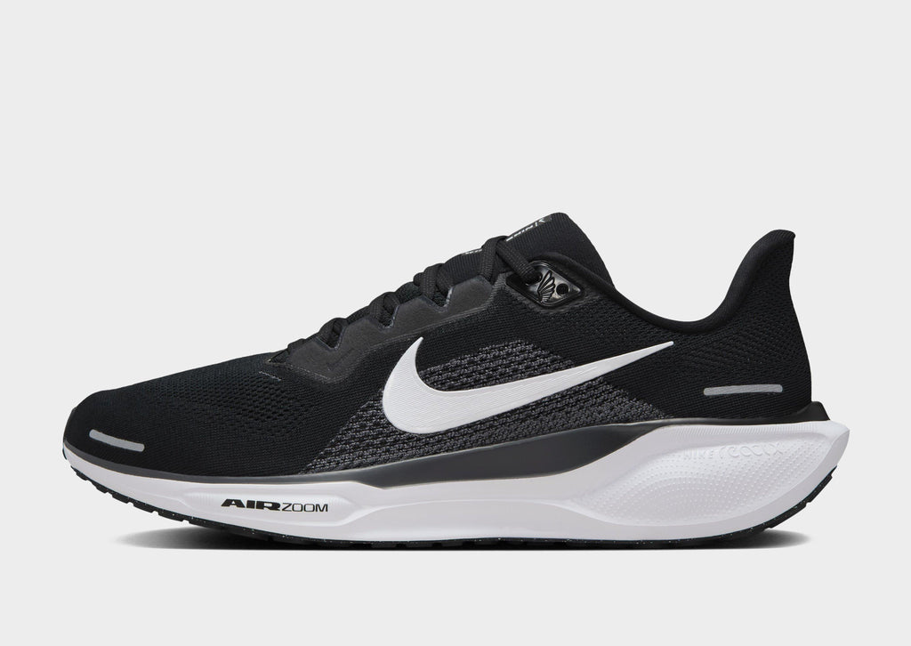 Pegasus 41