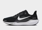 Pegasus 41
