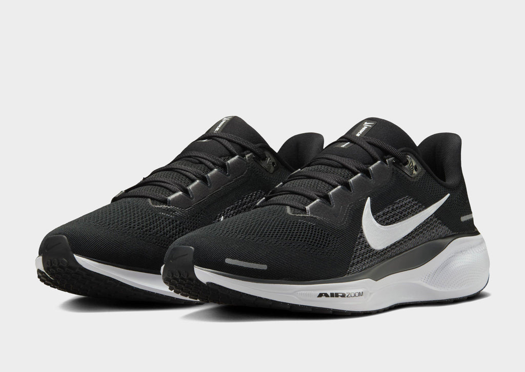 Pegasus 41