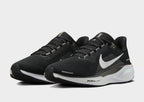 Pegasus 41