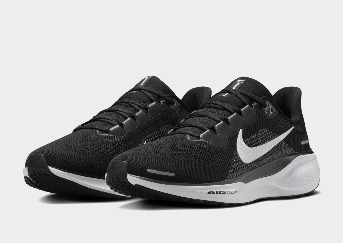 Pegasus 41