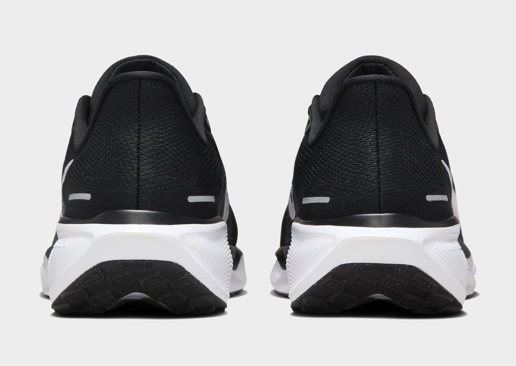 Pegasus 41
